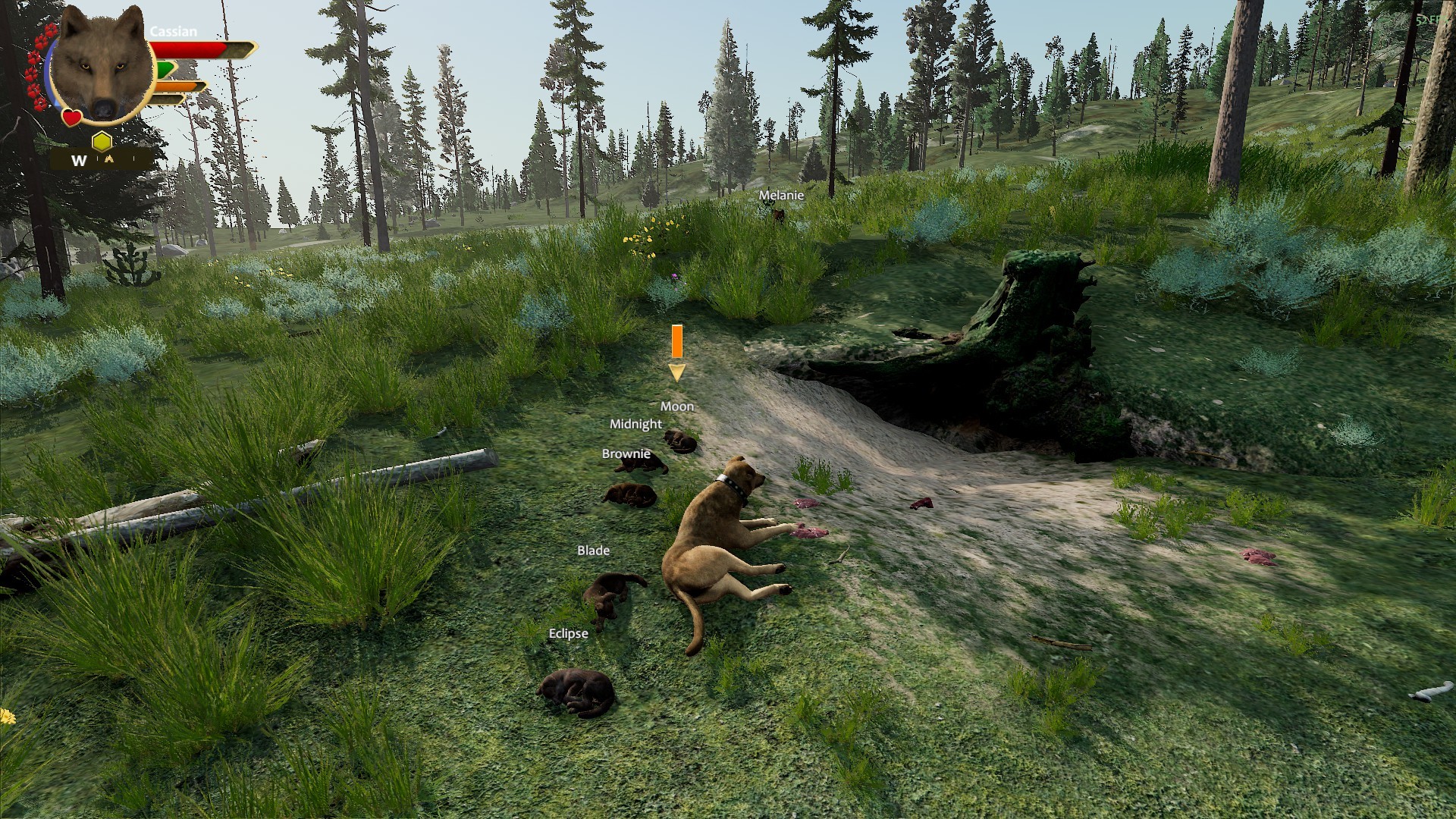 games like wolfquest for mac